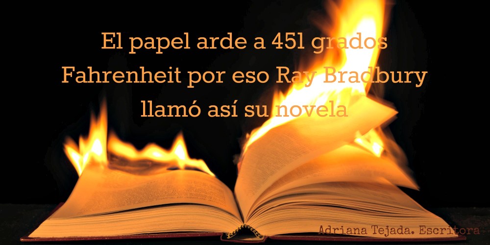 foto curiosidad bradbury