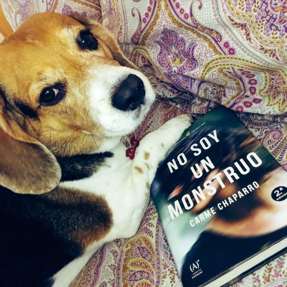 No soy un monstruo en Adriana Tejada. Escritora